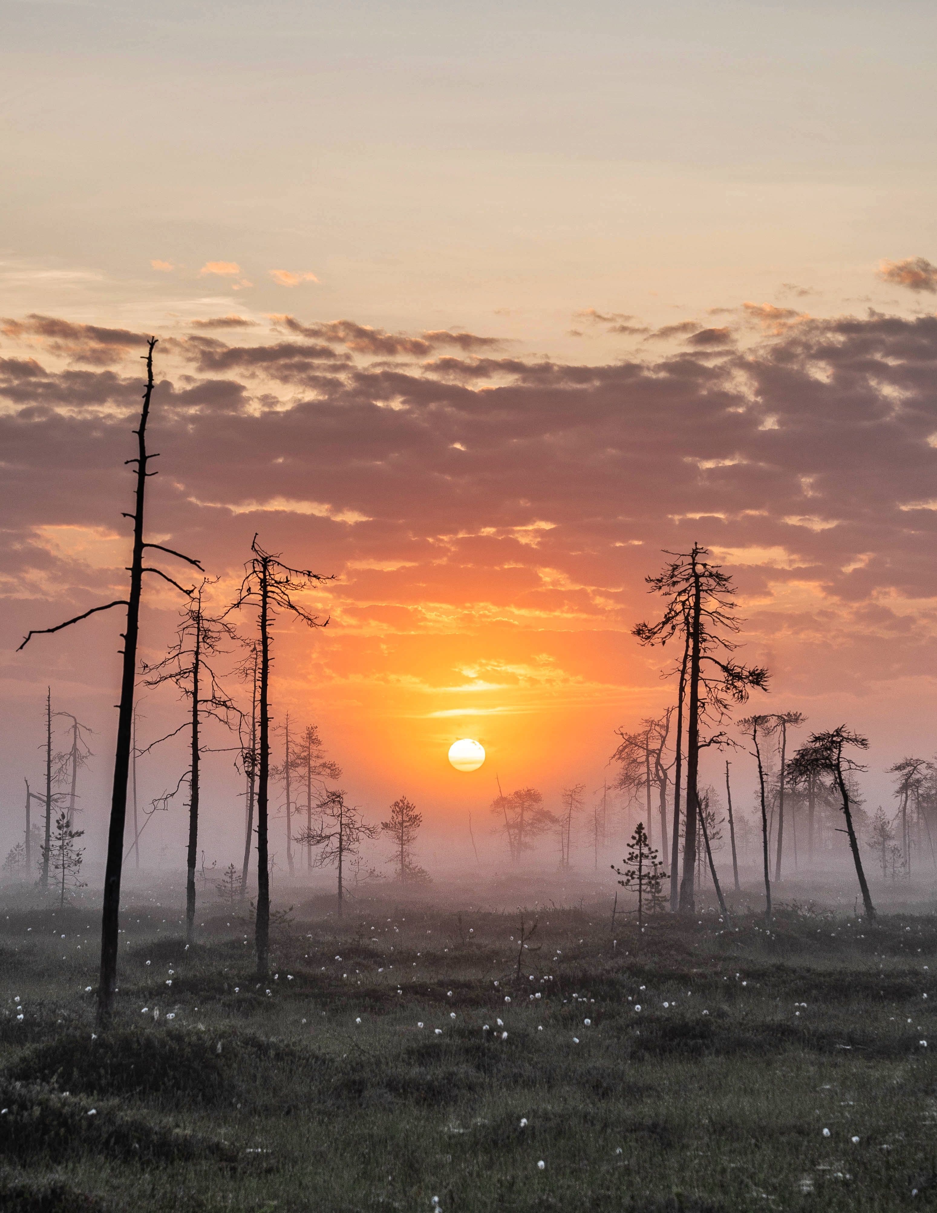 Relaxing Retreat in Arctic Silence